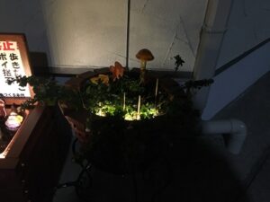 プランターカバー LED取付後